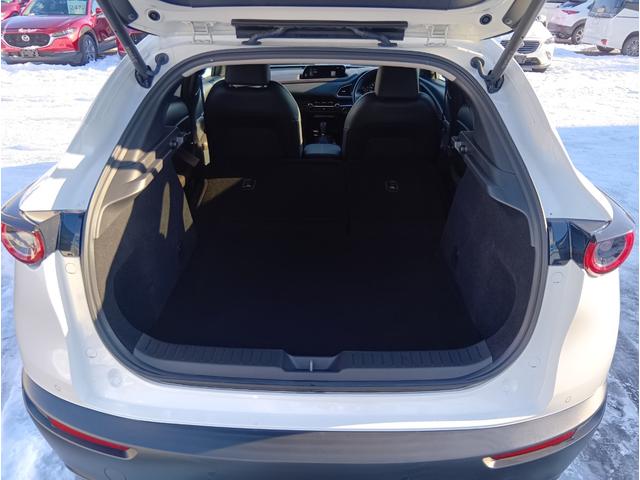 ＣＸ－３０ ２０Ｓ　Ｌパッケージ　４ＷＤ　ＥＴＣ　全周囲カメラ　クリアランスソナー　オートクルーズコントロール　パワーシート　衝突被害軽減システム　ナビ　ＴＶ　オートライト　ＬＥＤヘッドランプ　電動リアゲート　アルミホイール（20枚目）