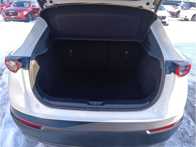 ＣＸ－３０ ２０Ｓ　Ｌパッケージ　４ＷＤ　ＥＴＣ　全周囲カメラ　クリアランスソナー　オートクルーズコントロール　パワーシート　衝突被害軽減システム　ナビ　ＴＶ　オートライト　ＬＥＤヘッドランプ　電動リアゲート　アルミホイール（21枚目）