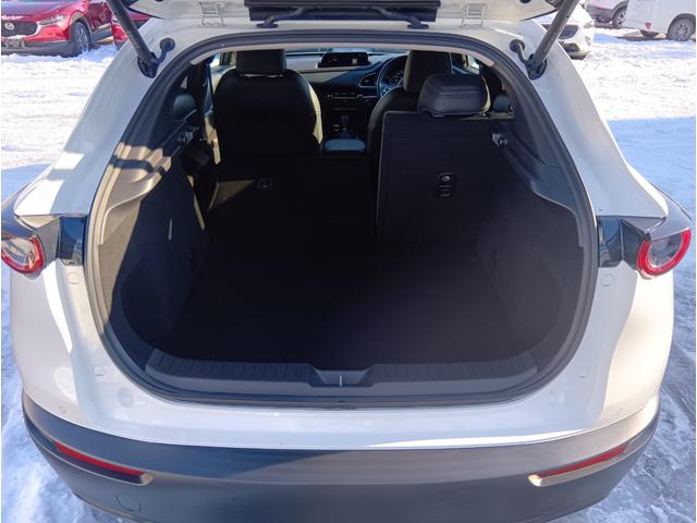 ＣＸ－３０ ２０Ｓ　Ｌパッケージ　４ＷＤ　ＥＴＣ　全周囲カメラ　クリアランスソナー　オートクルーズコントロール　パワーシート　衝突被害軽減システム　ナビ　ＴＶ　オートライト　ＬＥＤヘッドランプ　電動リアゲート　アルミホイール（22枚目）