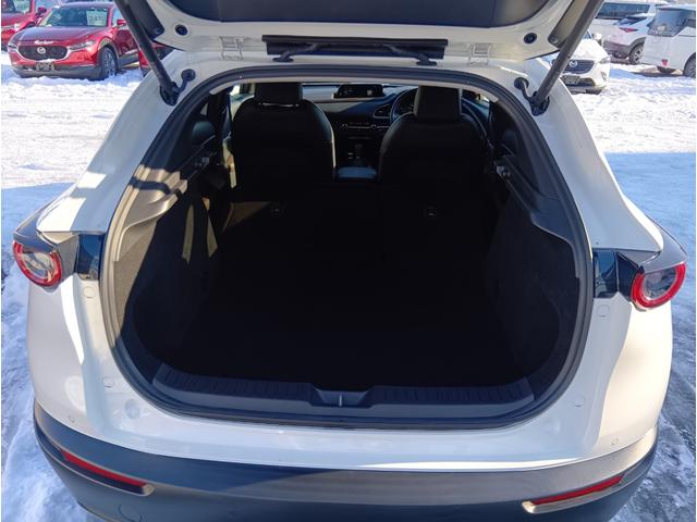 ＣＸ－３０ ２０Ｓ　Ｌパッケージ　４ＷＤ　ＥＴＣ　全周囲カメラ　クリアランスソナー　オートクルーズコントロール　パワーシート　衝突被害軽減システム　ナビ　ＴＶ　オートライト　ＬＥＤヘッドランプ　電動リアゲート　アルミホイール（23枚目）