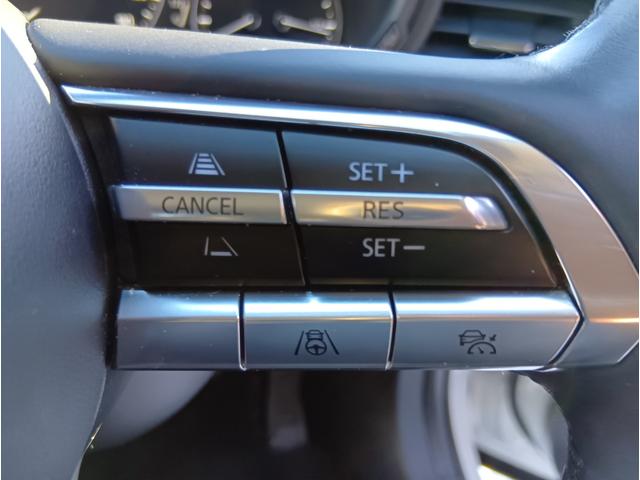 ＣＸ－３０ ２０Ｓ　Ｌパッケージ　４ＷＤ　ＥＴＣ　全周囲カメラ　クリアランスソナー　オートクルーズコントロール　パワーシート　衝突被害軽減システム　ナビ　ＴＶ　オートライト　ＬＥＤヘッドランプ　電動リアゲート　アルミホイール（31枚目）