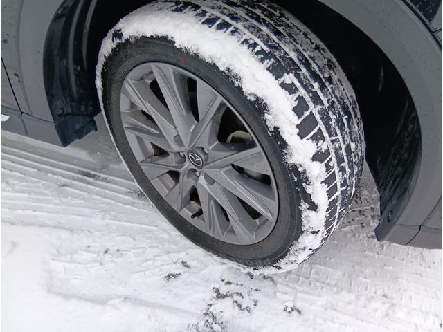 ���������܂��Đ��ɗL��������܂��I�I���񂲗��X���Ē����A���ۂɂ����ɂȂ��Ē�����΂Ǝv���܂��B���q�l����̂��A�����X�^�b�t�ꓯ�A�S��肨�҂����Ă���܂�