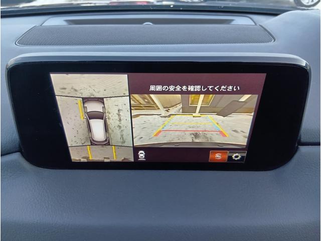 �y�S���̓J�����z�^�ォ��Ԃ������悤�Ƀ��j�^�[�Ŋm�F���ł���B������ۂ̎Ԃő̊����Ă݂Ă��������B