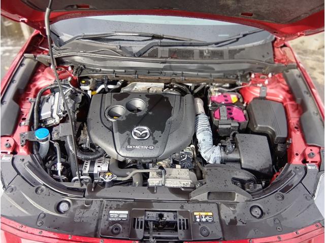 �ו��ɓn��S���X�^�b�t���m�F�������Ē����܂��̂ł����S�������܂��I�I�����x���m�F���������I