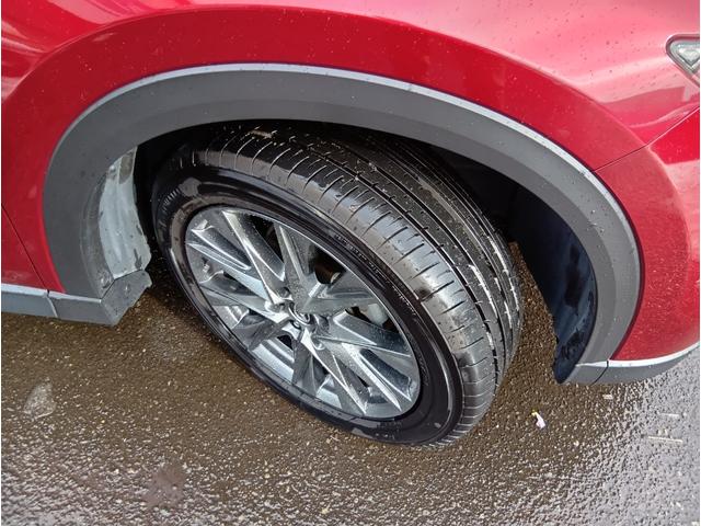 ���Ԃ̒m�����Ȃ��Ă����v�ł��I���C�y�ɂ����≺�����I���Ȃ��̂��T���̂P�䂪�����ɂ���܂��I