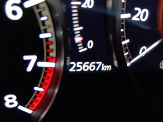 ���̓x�͓��X�̂��Ԃ������ɂȂ��Ă��������A���ɂ��肪�Ƃ��������܂��B�������茻�Ԋm�F���Ē�����悤�A��������v���܂��I