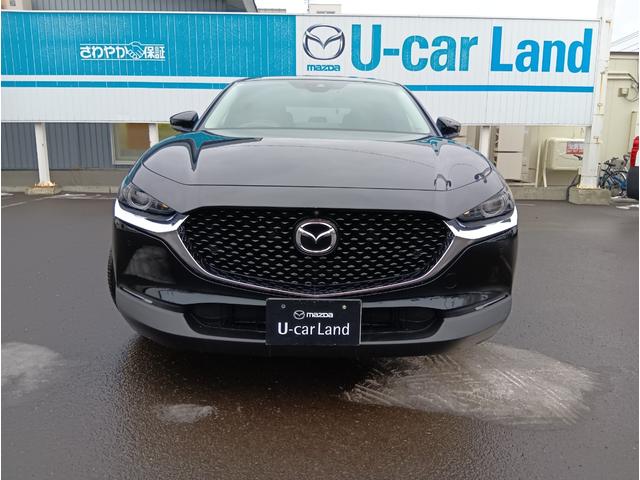 ＣＸ－３０ ＸＤ　Ｌパッケージ　４ＷＤ　ドライブレコーダー　ＥＴＣ　全周囲カメラ　クリアランスソナー　オートクルーズコントロール　レーンアシスト　パワーシート　衝突被害軽減システム　ナビ　ＴＶ　オートマチックハイビーム　オートライト（14枚目）