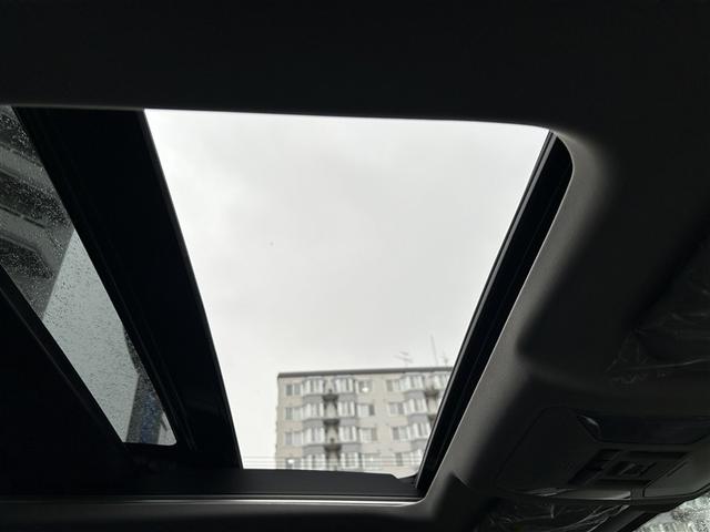 RAV4 ハイブリッドアドベンチャー サンルーフ 4WD フルセグ メモリーナビ バックカメラ 衝突被害軽減システム ETC ドラレコ LEDヘッドランプ 記録簿 アイドリングストップ(9枚目)