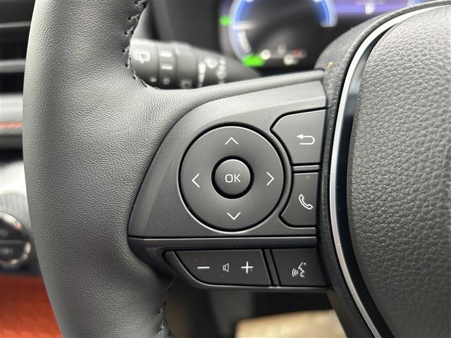 RAV4 ハイブリッドアドベンチャー サンルーフ 4WD フルセグ メモリーナビ バックカメラ 衝突被害軽減システム ETC ドラレコ LEDヘッドランプ 記録簿 アイドリングストップ(13枚目)