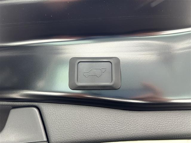 RAV4 ハイブリッドアドベンチャー サンルーフ 4WD フルセグ メモリーナビ バックカメラ 衝突被害軽減システム ETC ドラレコ LEDヘッドランプ 記録簿 アイドリングストップ(37枚目)