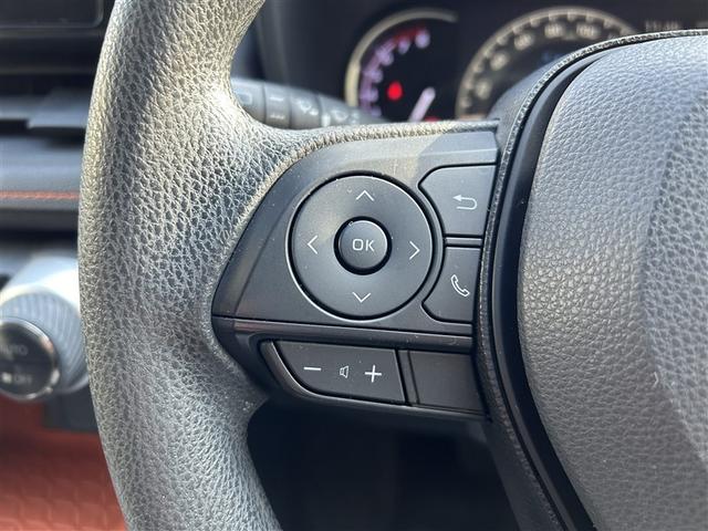 RAV4 アドベンチャー 4WD フルセグ メモリーナビ DVD再生 バックカメラ 衝突被害軽減システム ETC ドラレコ LEDヘッドランプ(16枚目)