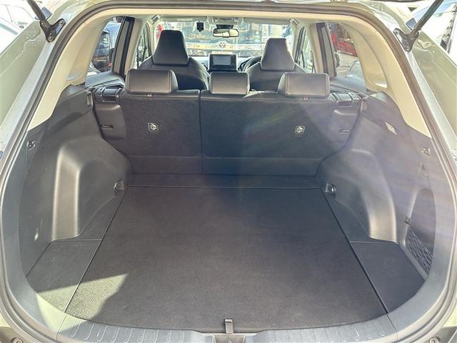 RAV4 アドベンチャー 4WD フルセグ メモリーナビ DVD再生 バックカメラ 衝突被害軽減システム ETC ドラレコ LEDヘッドランプ(35枚目)
