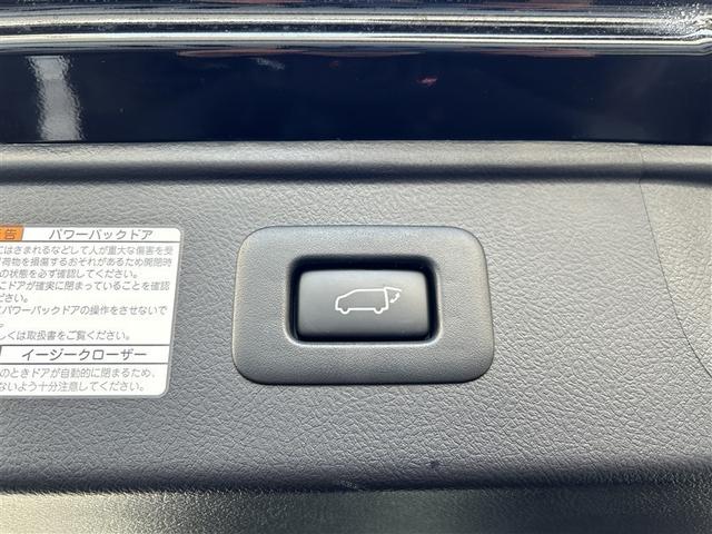 アルファード 2.5S タイプゴールドIII 4WD フルセグ メモリーナビ バックカメラ 衝突被害軽減システム ETC ドラレコ LEDヘッドランプ 乗車定員7人 3列シート アイドリングストップ(37枚目)