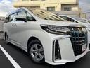 鋭く勢いのある目つきが印象的なデザインのヘッドランプです。