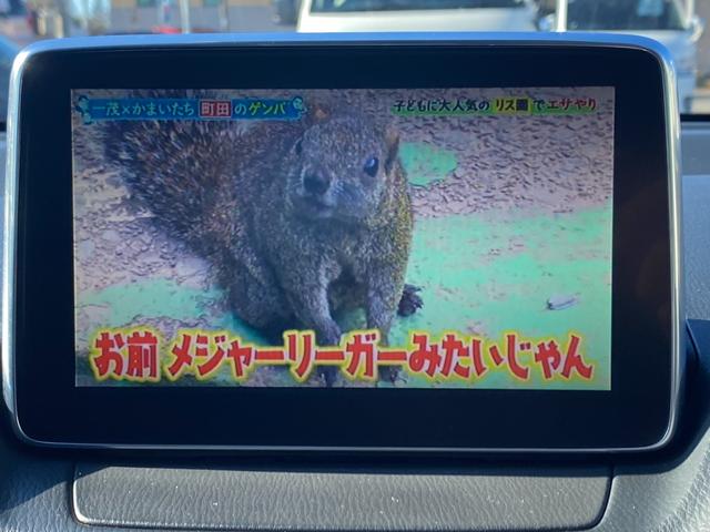 デミオ ＸＤツーリング　プッシュスタート　ヘッドアップディスプレイ　純正ナビ　バックカメラ　テレビ（18枚目）