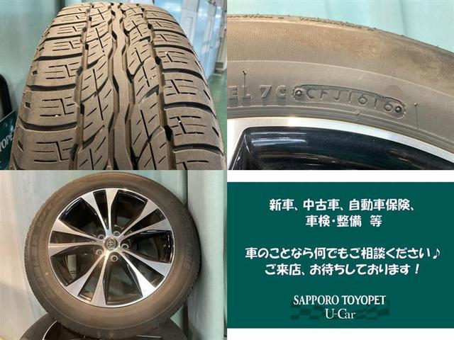 プレミアムADV スタイル 4WD フルセグ DVD再生 バックカメラ 衝突被害軽減システム ETC LEDヘッドランプ アイドリングストップ(10枚目)