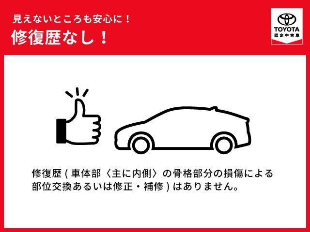 Ｓ－Ｔ　衝突被害軽減装置　Ｒカメラ　盗難防止システム　パワステ　ＡＡＣ　キーフリー　ＥＴＣ車載器　横滑り防止　ＡＢＳ　サイドエアバッグ　ナビＴＶ　メモリナビ　地デジ　クルコン　スマートキー　寒冷地仕様(38枚目)