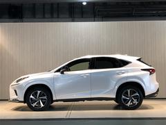 ��Ĺ�����������������������������⣱��������Ǥ��� 7