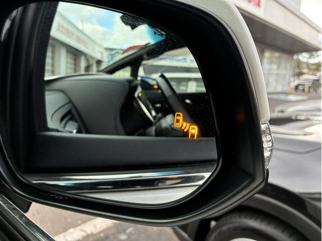 アルファードハイブリッド Ｓ　タイプゴールド（16枚目）