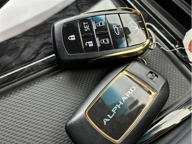 アルファードハイブリッド Ｓ　タイプゴールド（35枚目）
