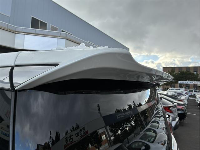 アルファードハイブリッド Ｓ　タイプゴールド（36枚目）