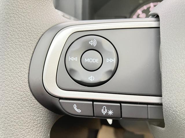 タフト Ｘ　レンタカーアップ　スマートアシスト　ＬＥＤヘッドライト　オートライト　オートハイビーム　オーディオレス　電動パーキングブレーキ　ブレーキホールド　ガラスルーフ　クリアランスソナー　４ＷＤ（39枚目）