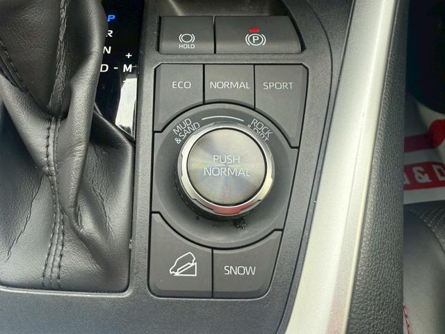 RAV4 アドベンチャー オフロードパッケージII 純正ナビ/フルセグTV/パノラミックビューモニター/デジタルインナーミラー/パワーバックドア/黒合皮シート/シートベンチレーション/パワーシート/ステアヒーター/純正18インチアルミ/LED/寒冷地(33枚目)