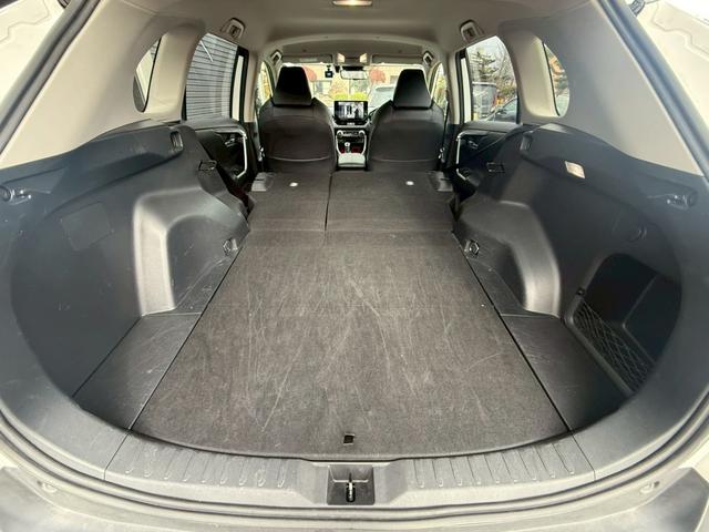 RAV4 アドベンチャー オフロードパッケージII 純正ナビ/フルセグTV/パノラミックビューモニター/デジタルインナーミラー/パワーバックドア/黒合皮シート/シートベンチレーション/パワーシート/ステアヒーター/純正18インチアルミ/LED/寒冷地(45枚目)