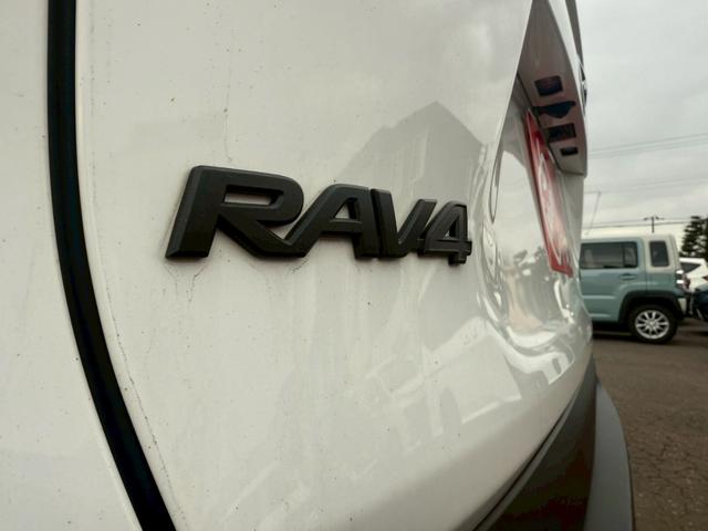 RAV4 アドベンチャー オフロードパッケージII 純正ナビ/フルセグTV/パノラミックビューモニター/デジタルインナーミラー/パワーバックドア/黒合皮シート/シートベンチレーション/パワーシート/ステアヒーター/純正18インチアルミ/LED/寒冷地(50枚目)