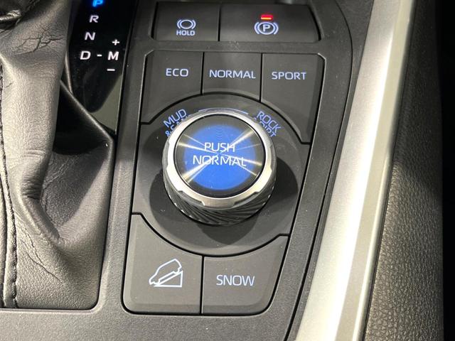 ＲＡＶ４ アドベンチャー　４ＷＤ　純正９型ＤＡ　全周囲カメラ　ＴＲＤガーニッシュ（ＬＥＤ付）　寒冷地仕様　衝突軽減　レーダークルーズ　置くだけ充電　禁煙車　合皮シート　パワーシート　ドラレコ　ルーフレール　純正１９インチＡＷ（62枚目）