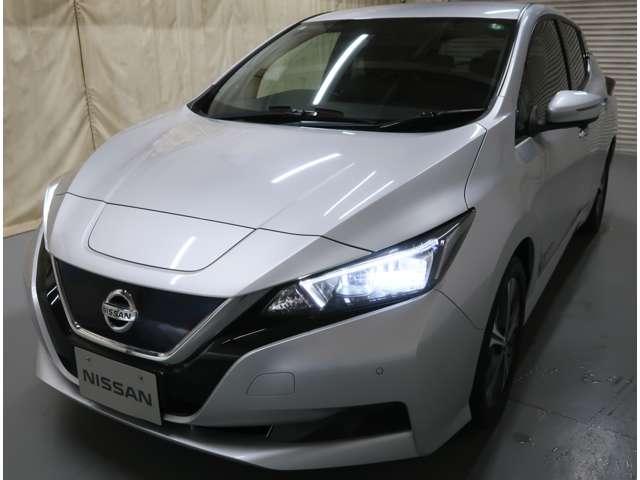 リーフ X Vセレクション 寒冷地仕様 プロパイロット(8枚目)