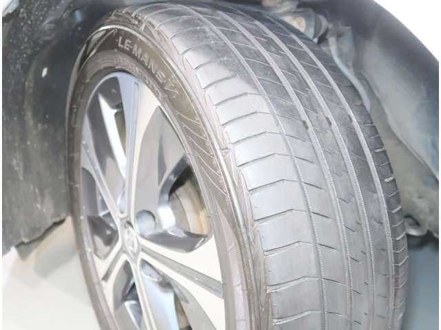 リーフ X Vセレクション 寒冷地仕様 プロパイロット(18枚目)