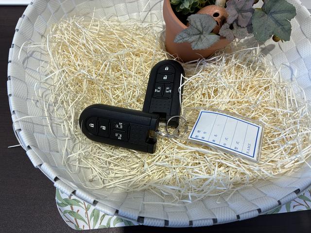 ムーヴキャンバス Ｘリミテッドメイクアップ　ＳＡＩＩ（2枚目）