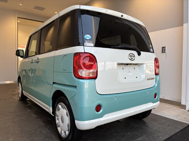 ムーヴキャンバス Ｘリミテッドメイクアップ　ＳＡＩＩ（41枚目）