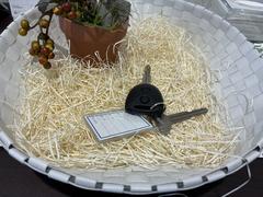 쥹ȥ꡼󥿥åǻܾǤΤǤ 4