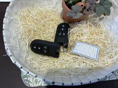 �ࡼ�������Х� �إ�ߥƥåɥᥤ�����åס��ӣ��ɣ� 0300901A20260209D001 2