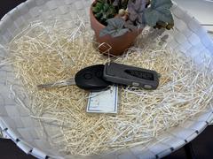 �ߥ饤���� �̡��ӣ��ɣɣ� 0300901A20260224D001 2