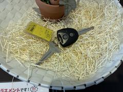 �ߥ饤���� �̣� 0300901A20260308D001 2