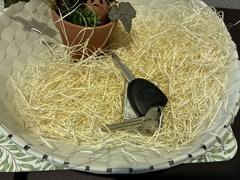 �ߥ饤���� �̡��ӣ��ɣɣ� 0300901A20260321D004 2