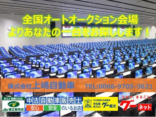 ハイブリッドＸ　４ＷＤ　純正カーナビ　ＴＶ　全方位モニター　レーダーブレーキサポート(19枚目)