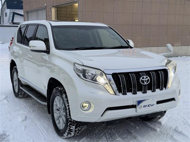 ランドクルーザープラド TZ 盗難防止装置 LED キーレス ナビ&TV 横滑り防止機能 オートクルーズコントロール Bカメラ エアバッグ HDDナビ サンルーフ DVD再生 フルセグ ABS 4WD ETC スマキー(3枚目)