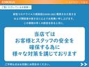 ハイブリッドＧ　アイドリングストップ機能　ナビテレビ　バックアイカメラ　パワーウインドー　盗難警報装置　ＬＥＤヘットライト　フリーキー　ＥＴＣ装備　ＡＡＣ　サイドエアバッグ　ダブルエアバッグ　地デジ　ＳＲＳ　ＰＳ（25枚目）