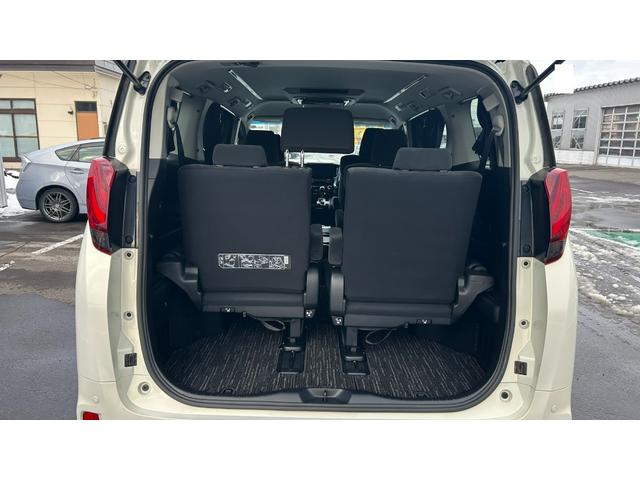 アルファード 2.5S Aパッケージ アルパイン製10インチフルセグナビ バックガイドモニター 天井後席モニター キー一体型エンジンスターター 両側電動スライドドア LEDヘッドライト ドライブレコーダー クルーズコントロール(16枚目)