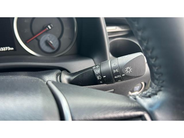 アルファード 2.5S Aパッケージ アルパイン製10インチフルセグナビ バックガイドモニター 天井後席モニター キー一体型エンジンスターター 両側電動スライドドア LEDヘッドライト ドライブレコーダー クルーズコントロール(24枚目)