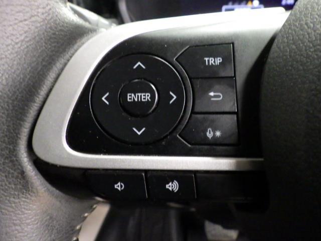 ライズ Ｚ　４ＷＤ　フルセグ　メモリーナビ　バックカメラ　衝突被害軽減システム　ＬＥＤヘッドランプ　記録簿　アイドリングストップ（8枚目）