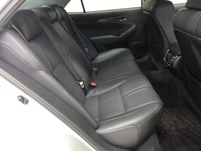 �����V�[�g