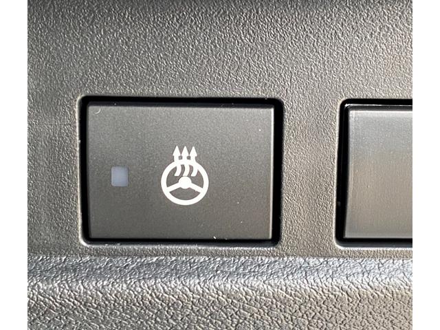 デリカミニ T プレミアム 届出済み未使用車 E-Assist 両側電動スライドドア アダプティブクルーズコントロール ルーフレール マイルドハイブリッド 全方位カメラ LEDヘッドライト ステアリングヒーター フルタイム4WD(32枚目)