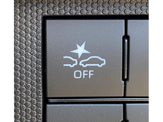 タフト G 届出済み未使用車 スマートアシスト オーディオレス ガラスルーフ LEDヘッドライト LEDフォグランプ オートライト 電動パーキングブレーキ ブレーキホールド アイドリングストップ 4WD(28枚目)