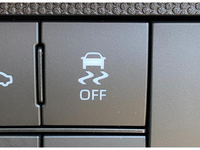 タフト G 届出済み未使用車 スマートアシスト オーディオレス ガラスルーフ LEDヘッドライト LEDフォグランプ オートライト 電動パーキングブレーキ ブレーキホールド アイドリングストップ 4WD(29枚目)