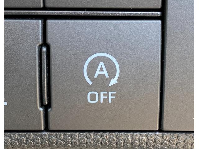 タフト G 届出済み未使用車 スマートアシスト オーディオレス ガラスルーフ LEDヘッドライト LEDフォグランプ オートライト 電動パーキングブレーキ ブレーキホールド アイドリングストップ 4WD(30枚目)